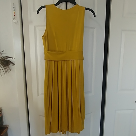 Rubber Ducky Mustard Dress - Picture 3 of 7